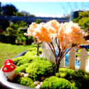 Kawaii Mini Red Mushroom