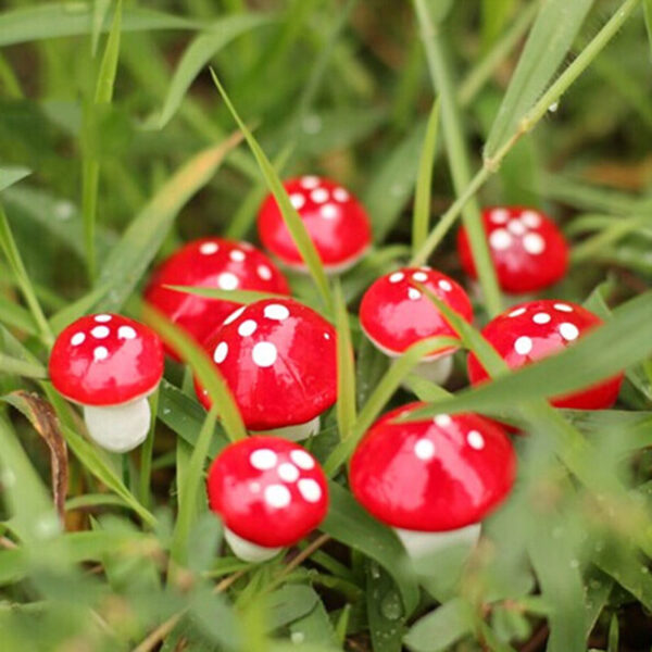 Kawaii Mini Red Mushroom - Image 2